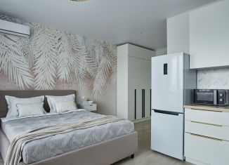 Квартира в аренду студия, 29 м2, Краснодар, Колхозная улица, 5/2к3, микрорайон Табачная Фабрика