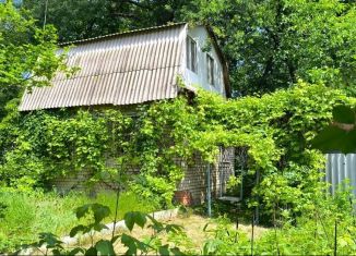 Продаю дачу, 60 м2, СНТ Горняк, СНТ Горняк, 38