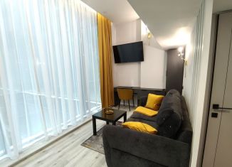 Сдаю в аренду однокомнатную квартиру, 45 м2, Москва, 2-я Брестская улица, 6