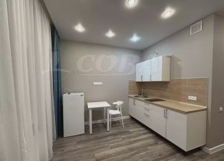 Продается квартира студия, 18.8 м2, деревня Дударева, улица Сергея Джанбровского, 3, ЖК Преображенский на Московском