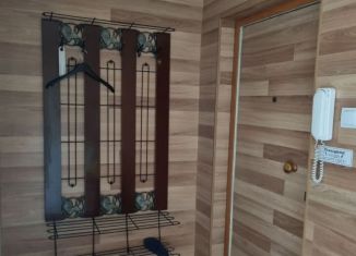 Сдам в аренду однокомнатную квартиру, 35 м2, Карелия, Сортавальская улица