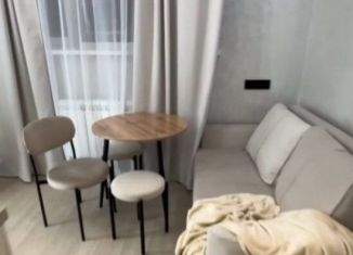 Сдам квартиру студию, 27 м2, Краснодар, улица Александра Покрышкина, 4/9, микрорайон Энка (имени Маршала Жукова)