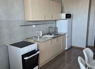 Сдаю в аренду 2-ком. квартиру, 58 м2, Ростов-на-Дону, переулок Салютина, 2