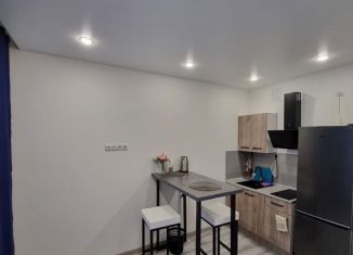 Сдам квартиру студию, 19 м2, Тюмень, Интернациональная улица, 199А, ЖК Авиатор