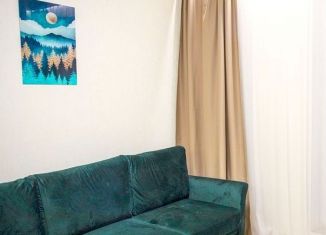 Сдается квартира студия, 50 м2, Ростов-на-Дону, Автомобильный переулок, 32А