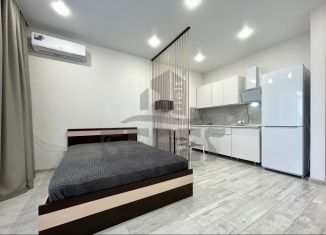 Аренда квартиры студии, 28 м2, Республика Башкортостан, улица Асхата Мирзагитова, 8