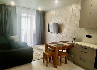 Сдача в аренду 1-комнатной квартиры, 40.8 м2, Калининград, Закатная улица, 29к1