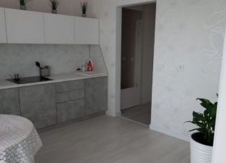 Сдаю в аренду 1-ком. квартиру, 31 м2, Республика Башкортостан, улица Рудольфа Нуреева, 6