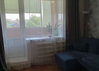 Сдается в аренду 1-ком. квартира, 30 м2, Павловск, улица Лермонтова, 1Г