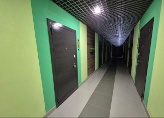 Сдается в аренду 1-комнатная квартира, 35 м2, Республика Башкортостан, улица Николая Ковалёва, 1