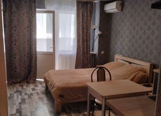 Аренда квартиры студии, 25 м2, Ростов-на-Дону, Заводская улица, 25