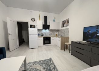 Сдается квартира студия, 24.7 м2, посёлок Стрельна, проспект Будённого, 20к5