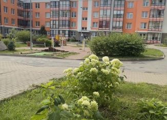 Продается однокомнатная квартира, 36 м2, Сертолово, Верная улица, 4к2