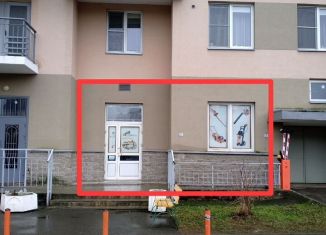 Продам помещение свободного назначения, 86.6 м2, Санкт-Петербург, метро Проспект Ветеранов, улица Катерников, 5к2