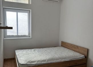 Аренда квартиры студии, 25 м2, Сочи, Вишнёвая улица, уч45