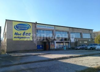 Продам помещение свободного назначения, 439 м2, Райчихинск, улица Победы, 55