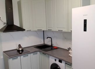 Сдача в аренду 1-комнатной квартиры, 37 м2, Аксай, улица Мира, 1