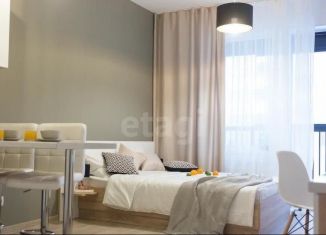 Сдаю квартиру студию, 27 м2, Санкт-Петербург, 5-й Предпортовый проезд, 2, 5-й Предпортовый проезд