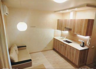 Сдам в аренду квартиру студию, 26 м2, Котельники, Сосновая улица, 1к2