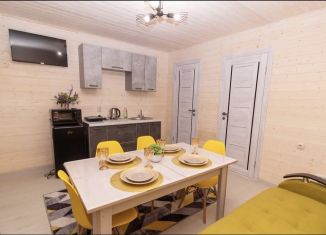 Сдаю в аренду дом, 32 м2, село Архыз