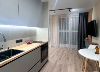 Продажа квартиры студии, 29.6 м2, Краснодар, микрорайон Черемушки, Воронежская улица, 47/11