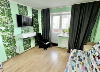 Продам квартиру студию, 23.8 м2, деревня Хохряки, Муромская улица, 4