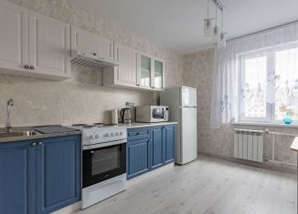 Сдаю в аренду однокомнатную квартиру, 48 м2, Санкт-Петербург, улица Лёни Голикова, 29к5, метро Проспект Ветеранов