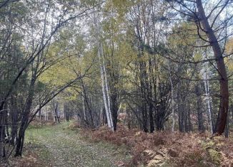 Земельный участок на продажу, 15 сот., поселок Чистые Ключи, Берёзовая улица