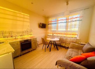 Сдается однокомнатная квартира, 36 м2, Тула, Калужское шоссе, 20к3, Привокзальный территориальный округ