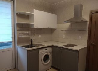 Сдается в аренду 1-ком. квартира, 29 м2, Мурино, бульвар Менделеева, 1, ЖК Виктория