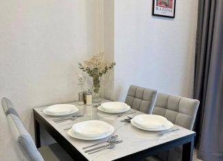 Сдам в аренду однокомнатную квартиру, 35 м2, Казань, улица Аделя Кутуя, 100