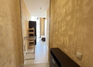 Аренда квартиры студии, 30 м2, Сириус, Ружейная улица, 37