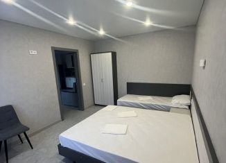 Сдам в аренду 2-комнатную квартиру, 65 м2, село Витязево, Восточная улица, 17А