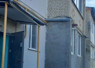 Продажа двухкомнатной квартиры, 45.1 м2, рабочий посёлок Мокшан, улица Победы