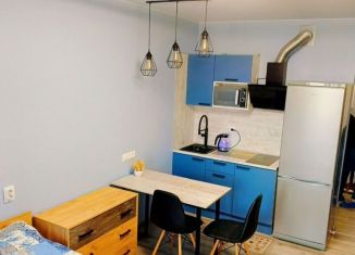 Квартира в аренду студия, 21 м2, Мурино, проспект Авиаторов Балтики, 25, ЖК Авиатор