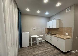 Продается квартира студия, 19 м2, деревня Дударева, улица Сергея Джанбровского, 3, ЖК Преображенский на Московском