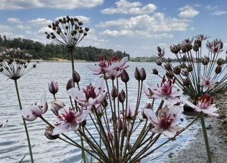 Продажа дома, 98 м2, посёлок городского типа Тлюстенхабль, Зелёная улица, 65