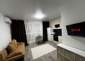 Продажа квартиры студии, 23.9 м2, Челябинск, улица Блюхера