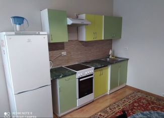 Сдается в аренду 2-комнатная квартира, 75 м2, Мурино, Скандинавский проезд, 4к1, ЖК Эланд