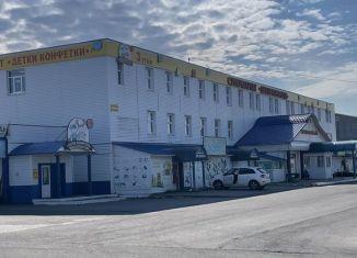 Продаю торговую площадь, 90 м2, Пенза, Перспективная улица, 1Ак2