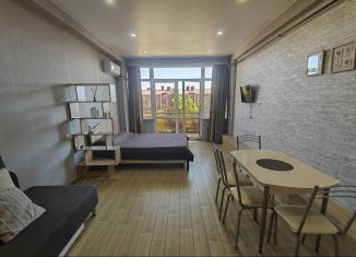 Аренда квартиры студии, 32 м2, Сочи, Каспийская улица, 46/7