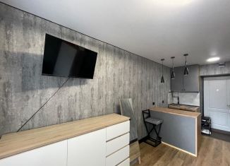 Продаю квартиру студию, 16.9 м2, Екатеринбург, метро Площадь 1905 года, Выездной переулок, 8А