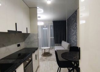 Продам квартиру студию, 28 м2, Ростов-на-Дону, улица Ерёменко, 114/1с1