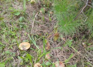 Продается участок, 10 сот., Республика Алтай, улица Кандаракова, 3