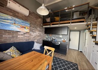 Сдается в аренду однокомнатная квартира, 40 м2, Сочи, улица Белых Акаций, 11