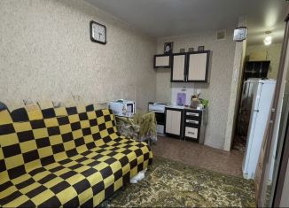 Квартира на продажу студия, 20.1 м2, сельский посёлок Новинки, Чкаловский проезд, 8, ЖК Окский Берег