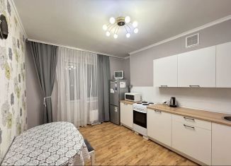 Сдается 1-комнатная квартира, 50 м2, Казань, проспект Ямашева, 103А