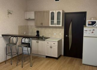 Сдам квартиру студию, 26 м2, Мурино, Охтинская аллея, 4