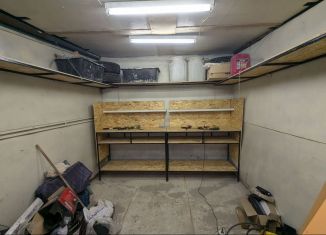 Гараж в аренду, 28 м2, Самарская область, проспект Степана Разина, 9А