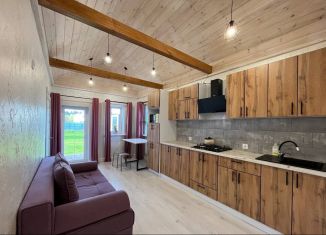 Продам дом, 52 м2, посёлок Нолька, Кленовая улица, 28